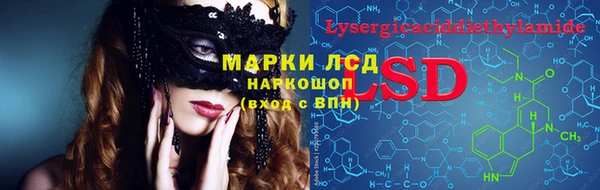 ПСИЛОЦИБИНОВЫЕ ГРИБЫ Инсар