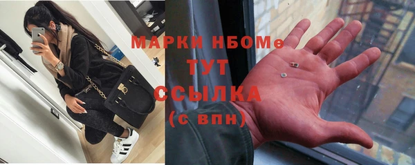 ПСИЛОЦИБИНОВЫЕ ГРИБЫ Инсар