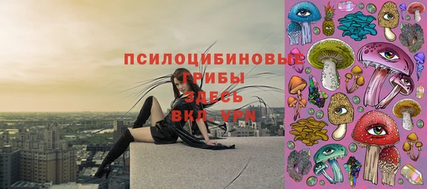 амф Инта