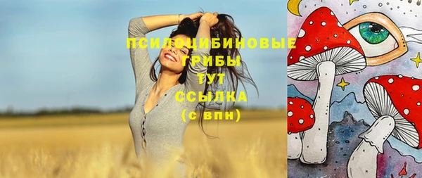 амф Инта